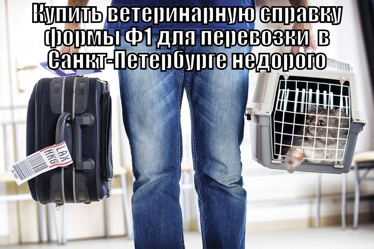 Купить ветеринарную справку Ф1 для перевозки животных с доставкой в Санкт-Петербурге